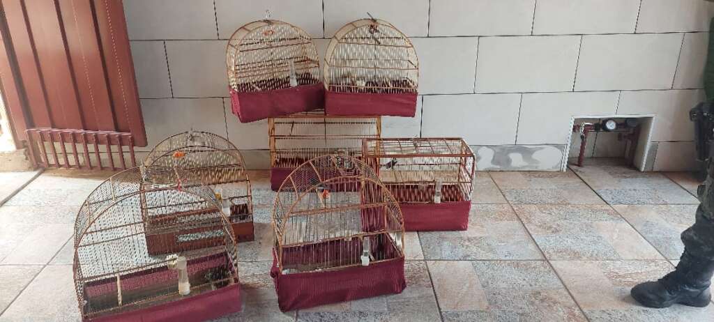 5e4b5078 62b5 4fa6 b181 22cd7e942d5e