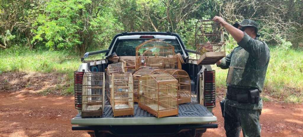 Patrulhamento Náutico e Fiscalização Reforçada da Polícia Militar Ambiental 10 6a475ebc ff7e 470f a923 c27cb404c5f7