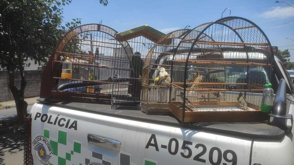 79f0c41f bbda 4982 ac75 c3277bcfac0b