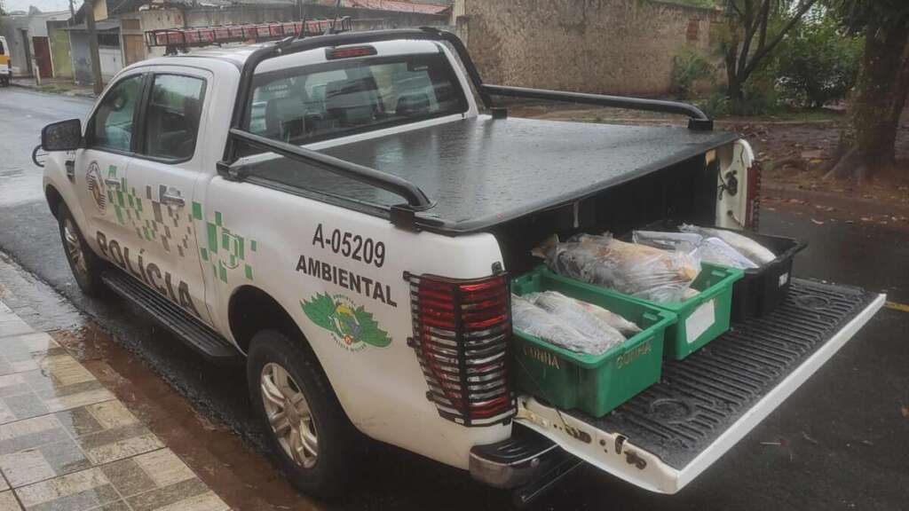 Patrulhamento Náutico e Fiscalização Reforçada da Polícia Militar Ambiental 17 7c4367b4 437d 4799 9050 636b746dcc93