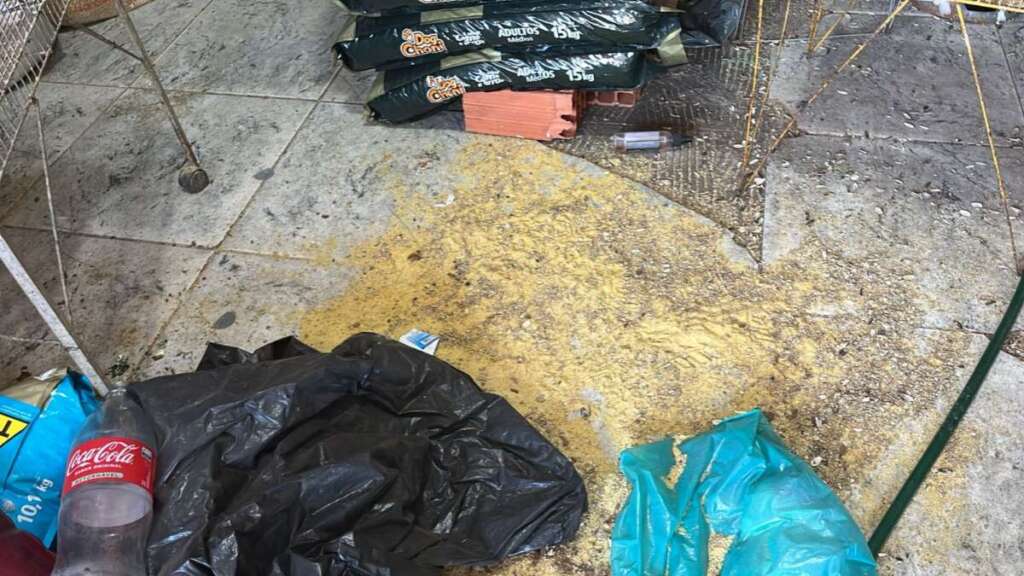 7e1db928 eb1a 4d94 bba2 9f88cbf50374