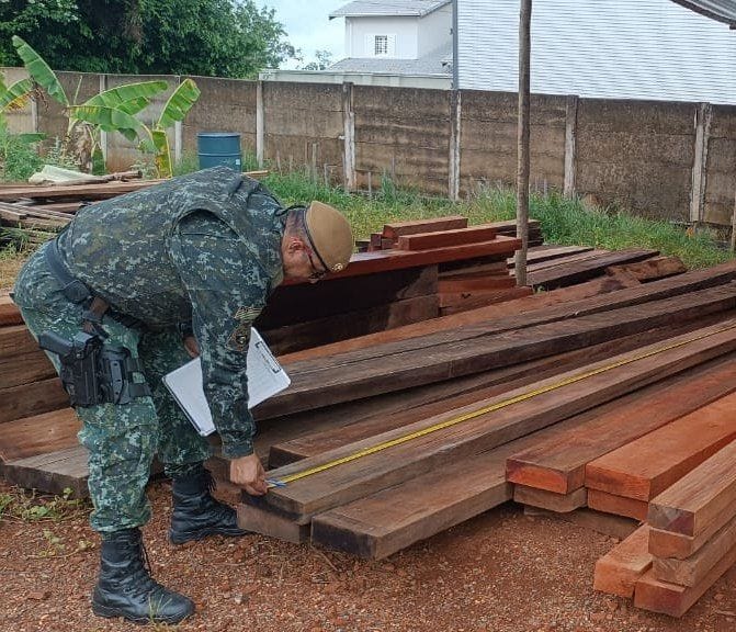 Operação Piracema: Polícia Militar Ambiental intensifica ações com fiscalização em pátios madeireiros, rios e foco na educação 1 83eba31f 9737 4648 99b4 e23891641713