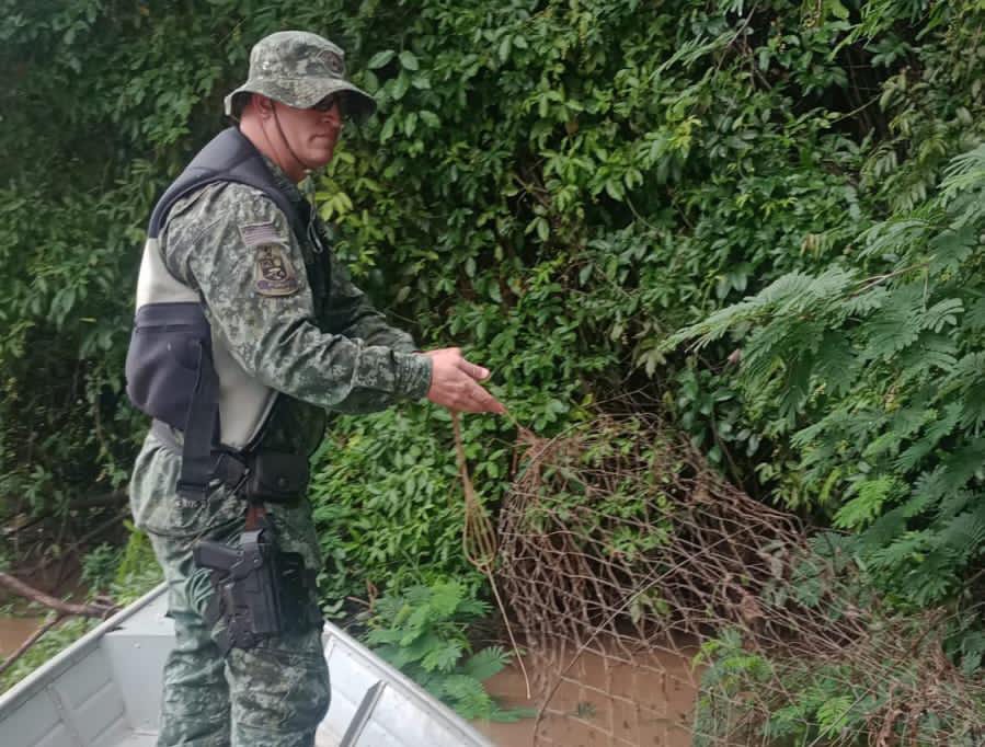 Onde a Natureza Precisa de Voz, a PM Ambiental se Faz Presente 2 9456cdc9 07e9 4771 8f87 189c01972eb0