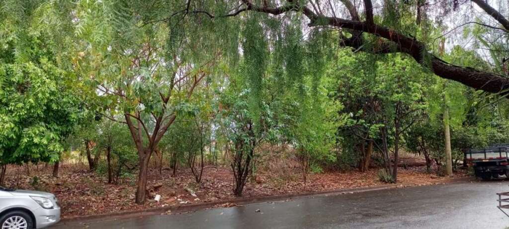 9eadf446 f183 42a9 81bd 3e730516d6d6