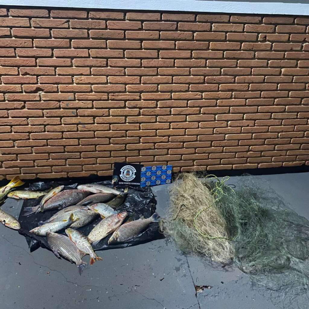 GCM de Porto Ferreira em operação permanente, prende suspeitos e apreende grande quantidade de drogas 2 IMG 20251209 WA0105