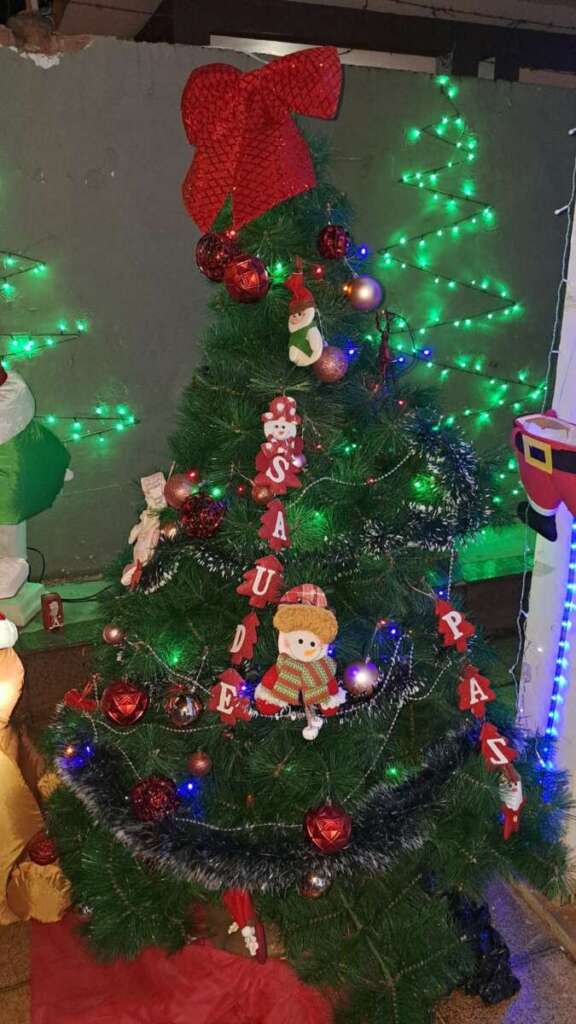 Pirassununga. Casa em Cachoeira de Emas e Vila Pinheiro levam centenas de visitantes para visitação aos enfeites de Natal 5 IMG 20251222 WA0068 1