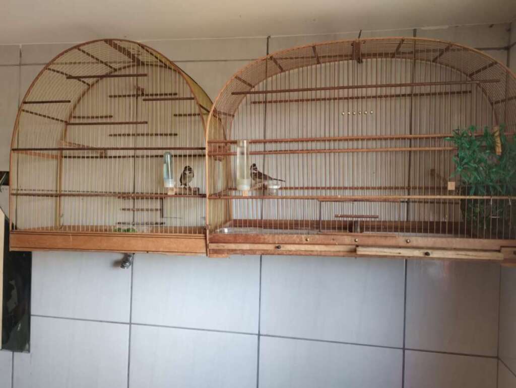 a31a0286 46d8 41f0 99a6 d6c1ea44b98e