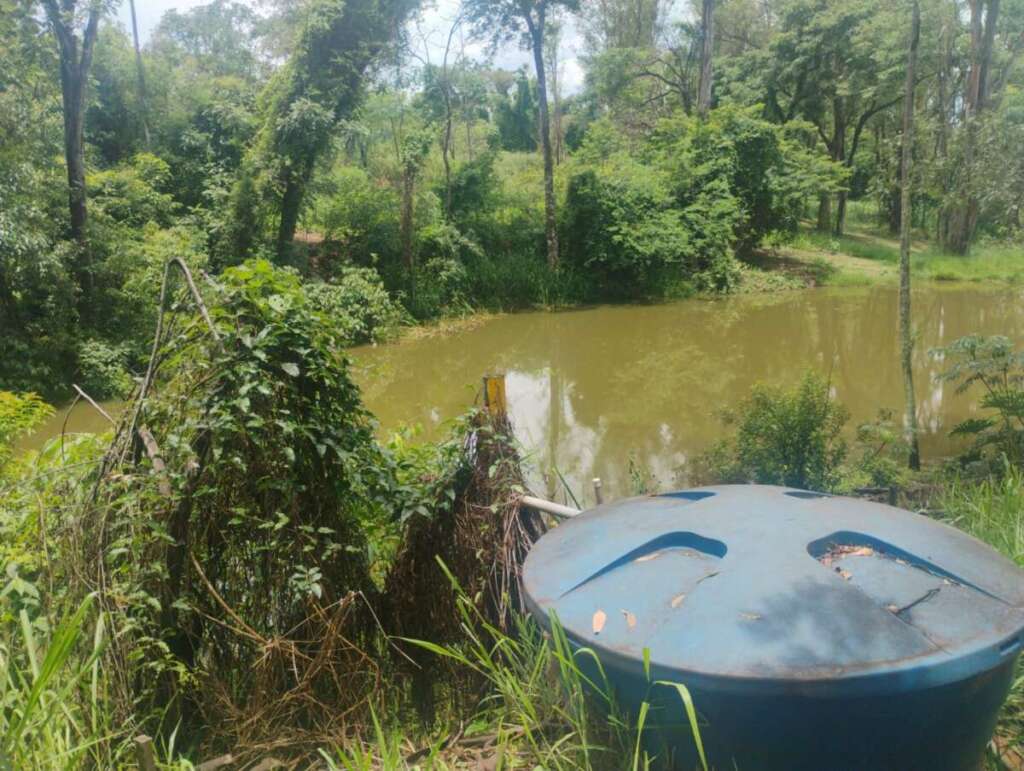 Operação Aniversário do Comando de Policiamento Ambiental (CPAmb) 9 add44e98 62b2 4a2b 994e 795ed5f14938