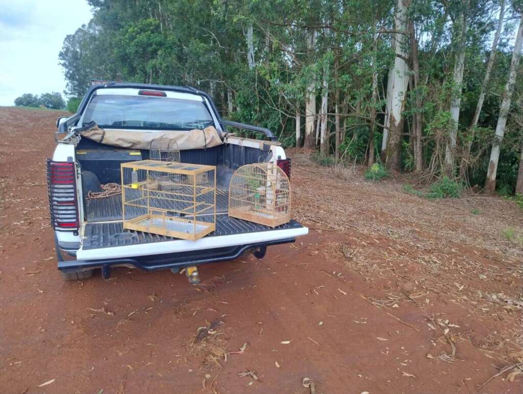 b068f9e5 9a2b 4f4e b59b 56a9fb3e4bb4