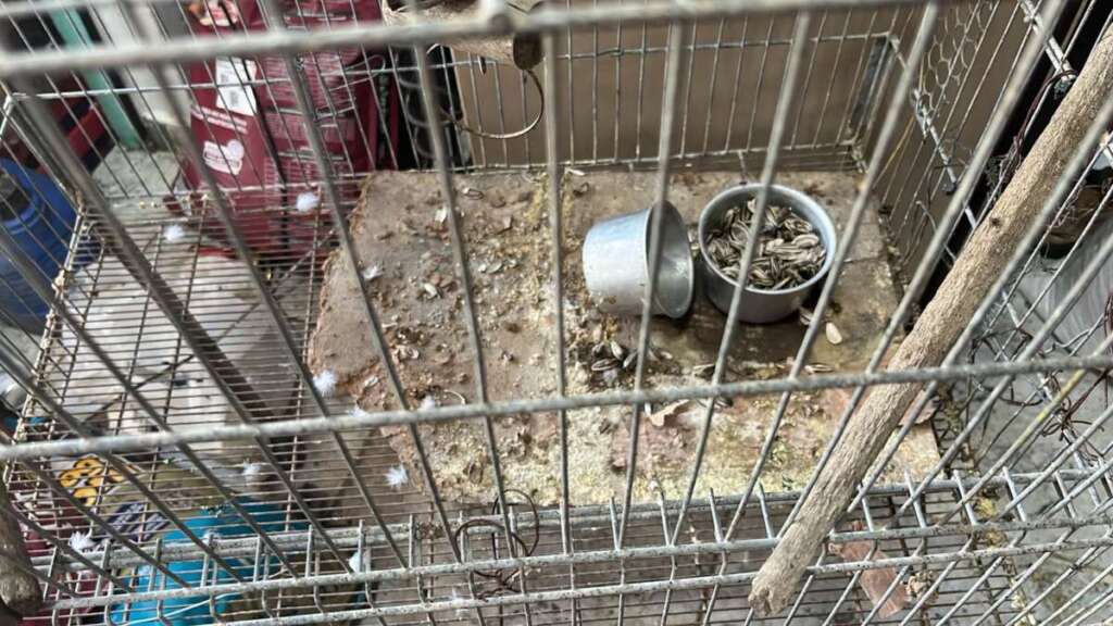 b98b98ee b56f 43d8 9090 022422ac2635