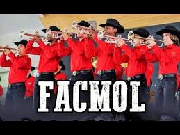 baixados 2025 12 13T210513.584