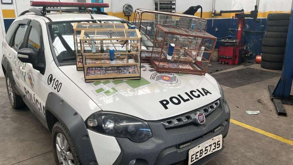 PM Ambiental não dá trégua aos crimes ambientais. PM Ambiental é agraciado pelo Legislativo de Pirassununga 2 bd52c564 65a1 4d24 92d4 96146a017723