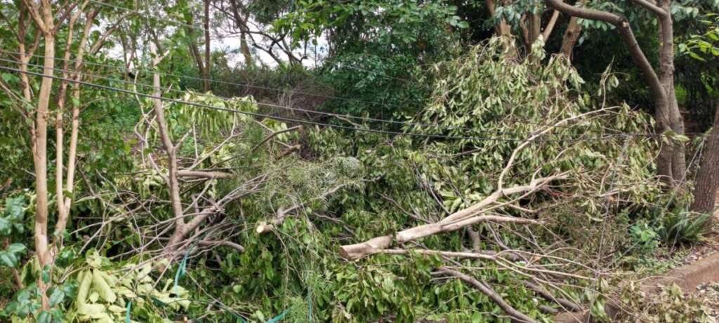 c613d4a7 21bd 4d91 8300 78e80f3a7e5f