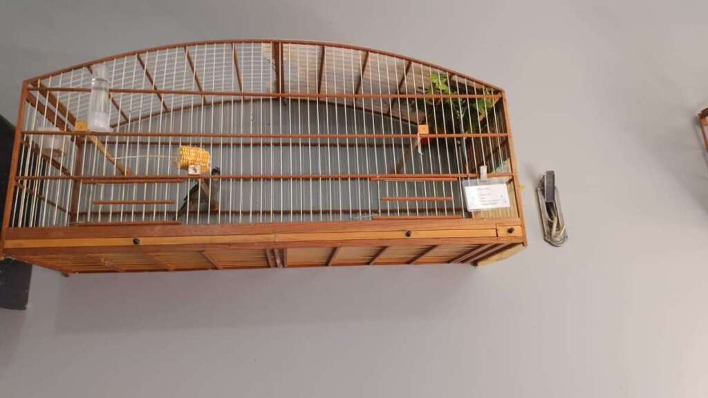 PM Ambiental não dá trégua aos crimes ambientais. PM Ambiental é agraciado pelo Legislativo de Pirassununga 7 c6f489ac c951 451b 8748 3671e547a75b