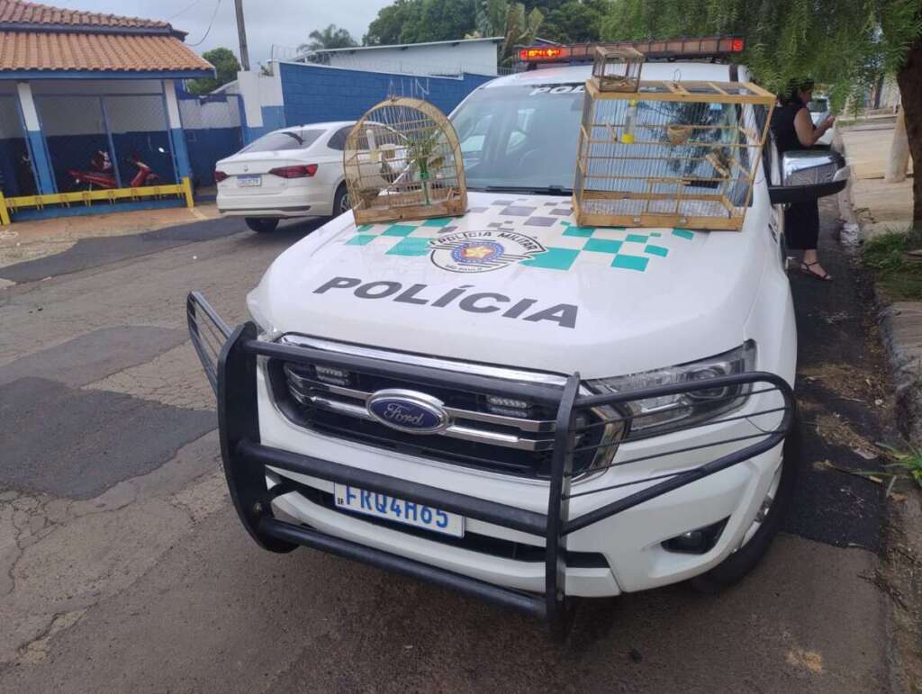 ca16cbc3 5443 41b2 9a19 b7e215f34d2a