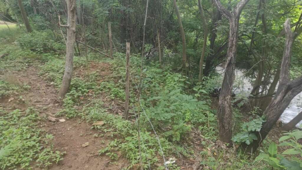 ce3cccba 25cc 4031 8822 13de63dac489