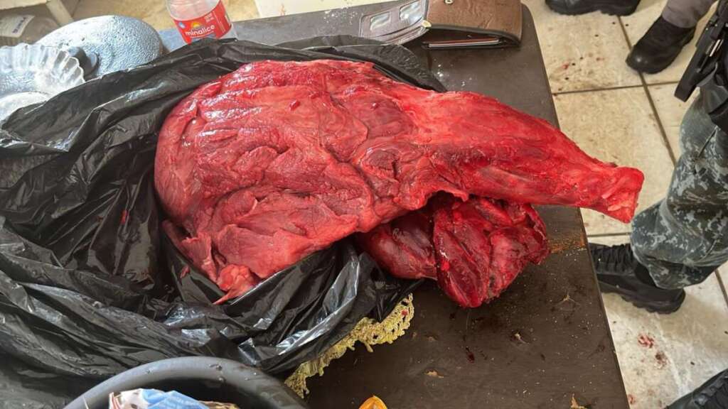 d24f0d9d 8bff 4c0f bc35 c3779123feb9