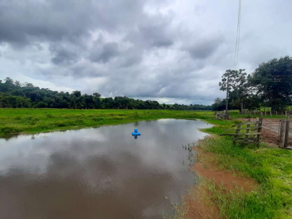 PM Ambiental fecha o cerco aos crimes ambientais. Peixes retirados do Rio, de forma criminosa são doados para Asilo de Porto Ferreira 12 dba65423 9329 4ba0 9883 8fa25620cf9c