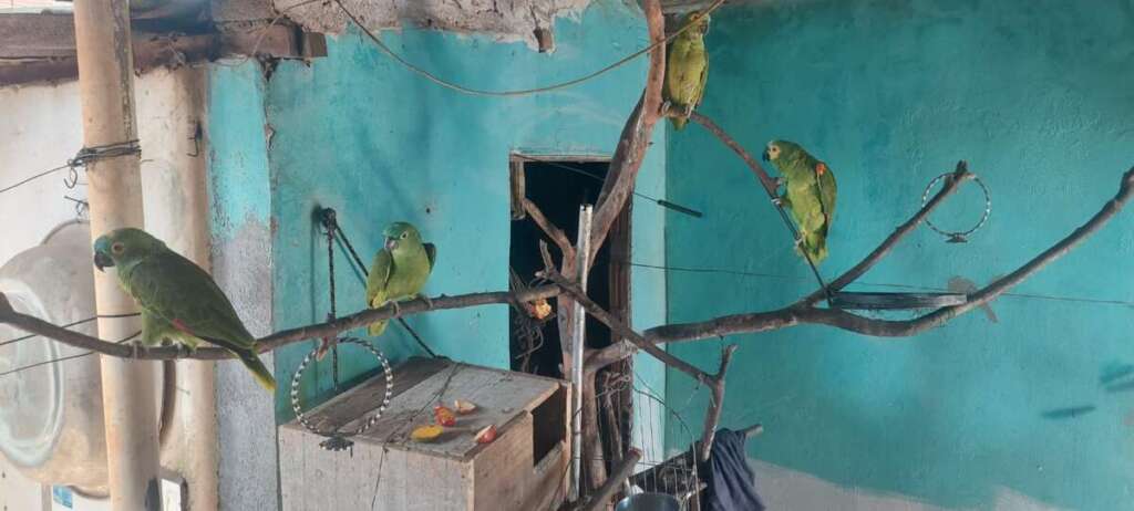 e7de3540 be2d 47a7 83e1 034173278413