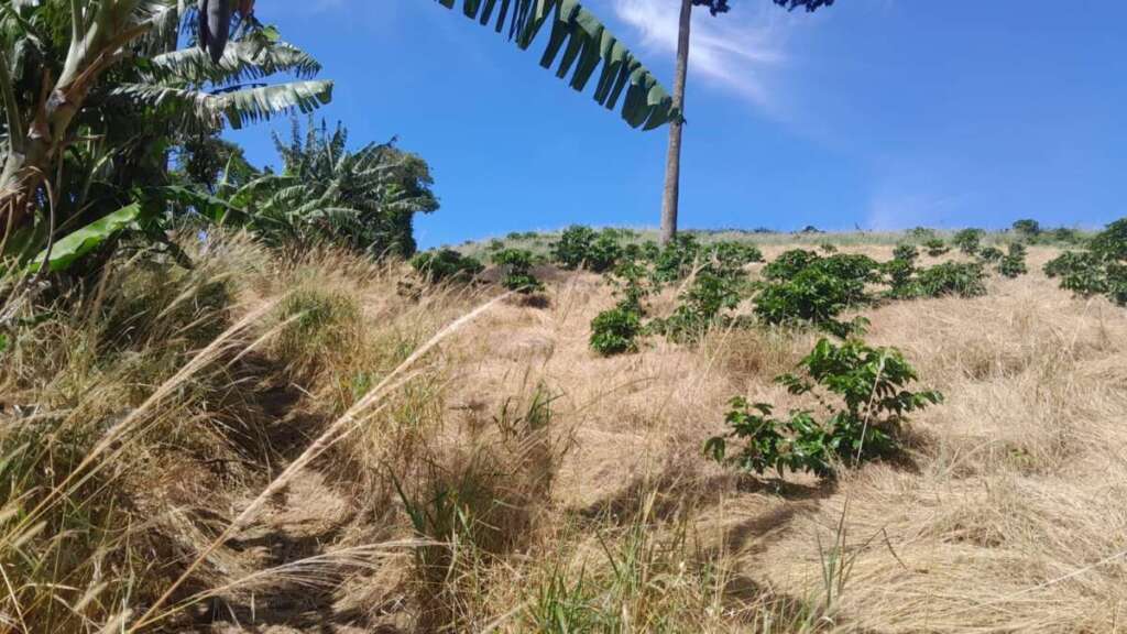 082d27cc c24d 43e6 897e b06c08394d9d