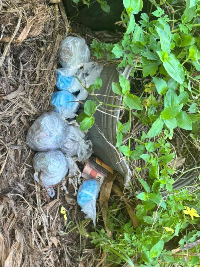 0f16a78c 62a8 4e73 9022 d8c7ce9aedee