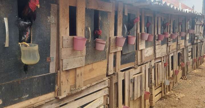 11a75080 0a93 4586 bb97 0f46031d4d24