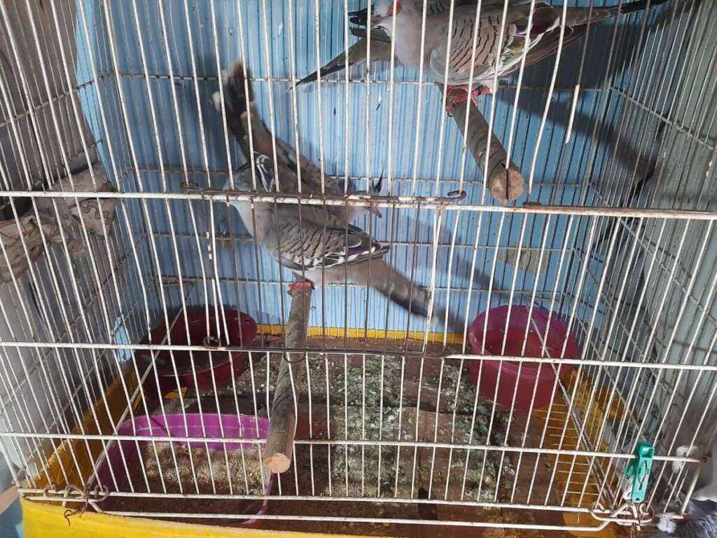 15fd848a 26bb 443b 82d8 0136dc9e0cc4