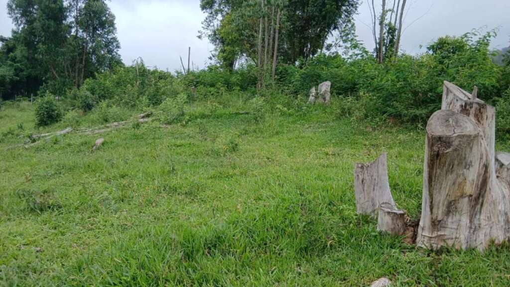 1ff4f57d 1b0d 4abf 8a7b 7546aa60bddb