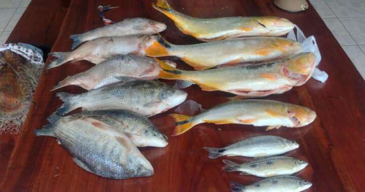 25b73362 930e 45da b1a7 3bccfde53173