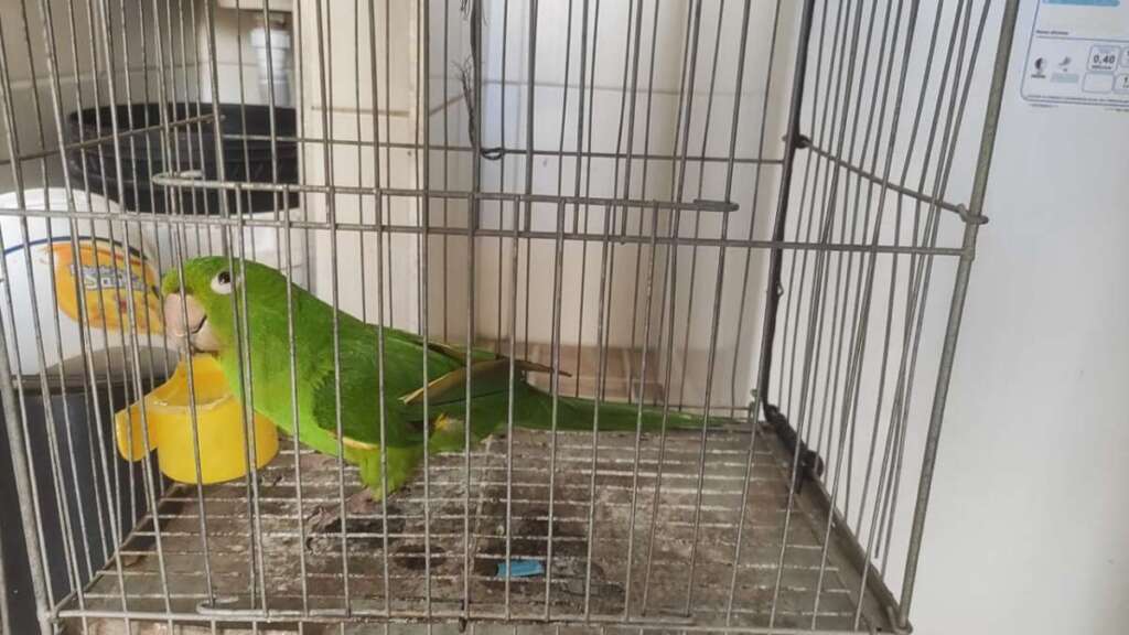 34ee1042 8f10 4f0c af5b a00240acefac