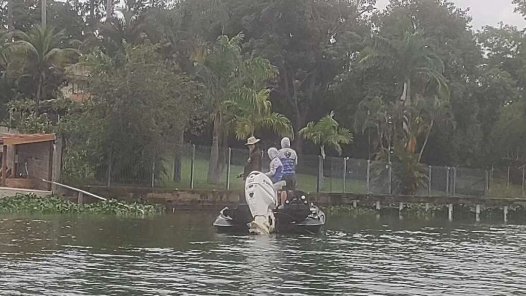 37ed8466 2f48 40f7 8154 9f78ea083223