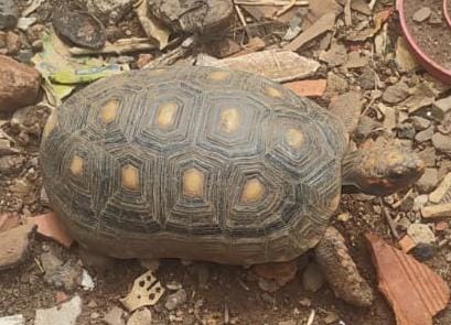 3976306a 2be5 4440 952c ab9e63cc1dfa