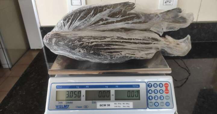 3c962a68 b953 4679 a128 30a52ef6f01e