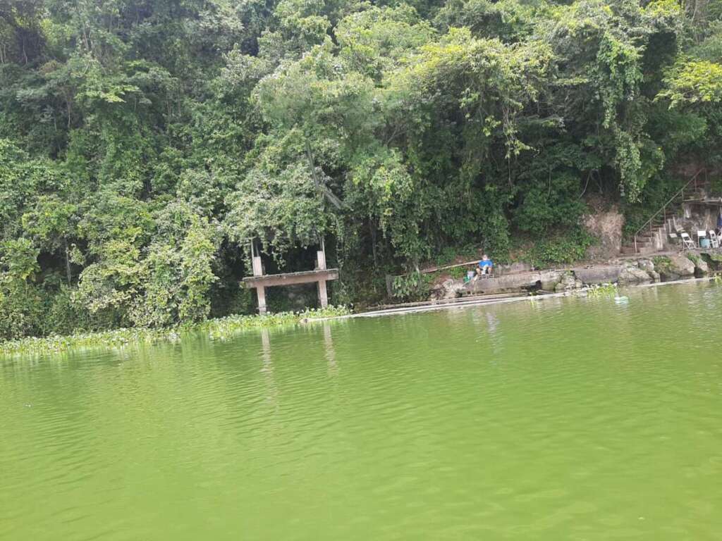 3fc0bf18 c600 453c bb45 cbcf64bc3b16