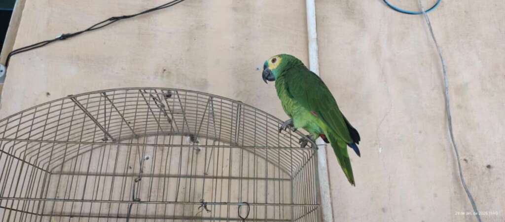 487f3d2a 19ef 42c5 835c 8879bc6f1cad