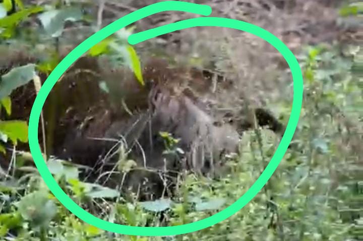 4907b701 d81d 4df5 a86a 631e2f911bb8