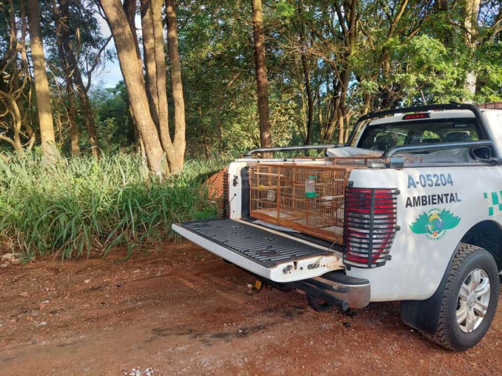 4d0042b4 f132 44f5 aad4 c9d3885e88cf