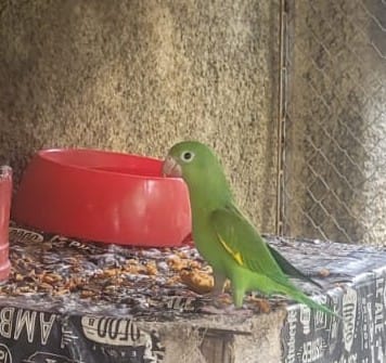 597c7bac 0fce 43d4 ab8f dbacfd151e6e