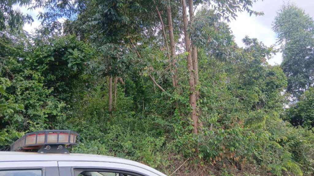 6a9cc8f8 2a01 429d b3d3 3e2ced22bdbe