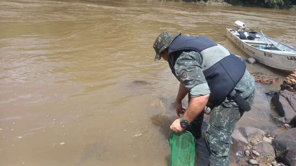 Polícia Ambiental autua infratores em Santa Bárbara d’Oeste e Pirassununga 3 6e420230 02fd 47e3 9d73 fcd8a1ff3dd3