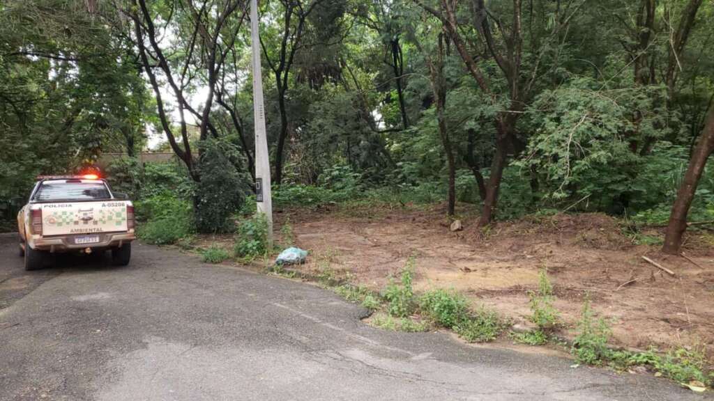 PM Ambiental continua em atuação firme no combate ao crime contra o meio ambiente 1 76f447e4 8311 4462 90ae 0d128391cd9b 1