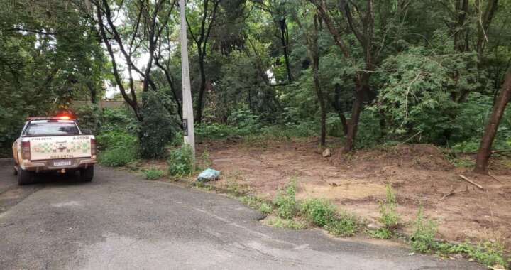 76f447e4 8311 4462 90ae 0d128391cd9b 1