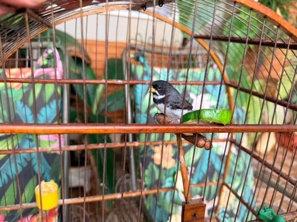 886f00fc 9a2d 4f6b b155 6109af3d8669