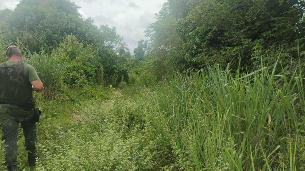 PM Ambiental continua em atuação firme no combate ao crime contra o meio ambiente 3 98165f76 18a5 438a aa0e c0bd045c3593 1