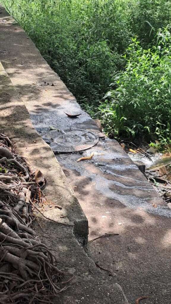 a3d28118 b7f4 4e6c a8aa d662fb2441f1 1