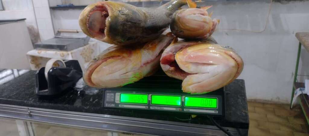 b52f1c18 cc47 46dd b91c 8b3f2ba10718