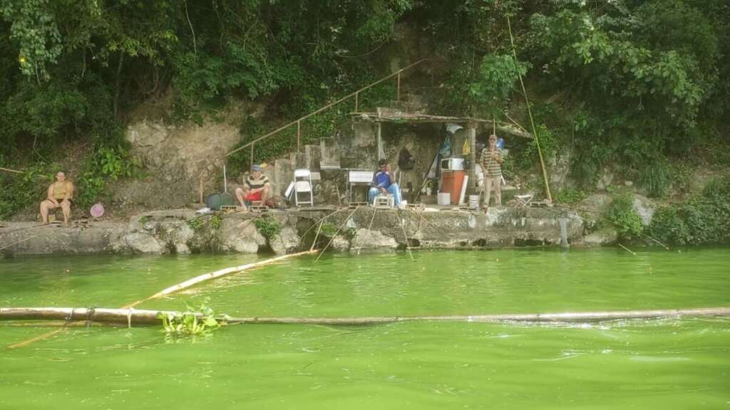 bf93d9af ca84 481e a2c9 a11d45594fc2