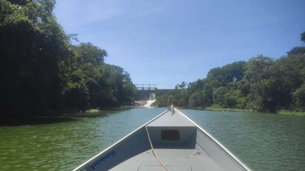 c1ec3eb2 1174 4bde 9f7c 7791ecded73b