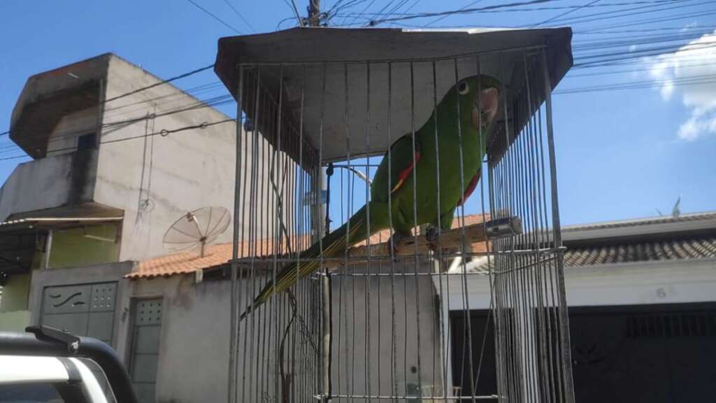 c44d9628 17ca 44ba b80c 9eb2d5aafd63 1