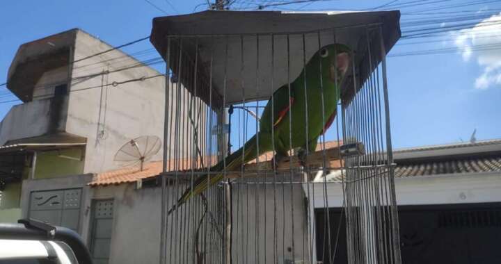 c44d9628 17ca 44ba b80c 9eb2d5aafd63 1